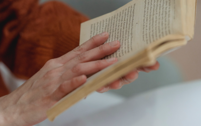 Article de blog trois
